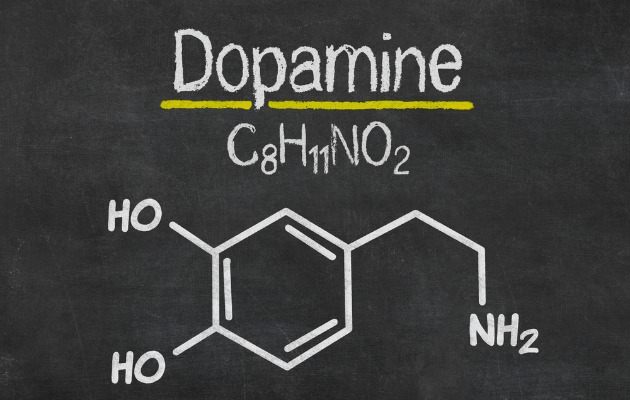 Şeker beyinde aşırı miktarda dopamin salgılanmasına sebep oluyor